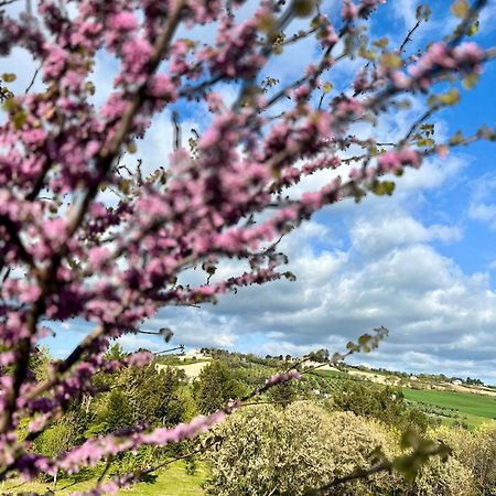 Vila Agriturismo La Contea Senigallia San Gaudenzio Exteriér fotografie
